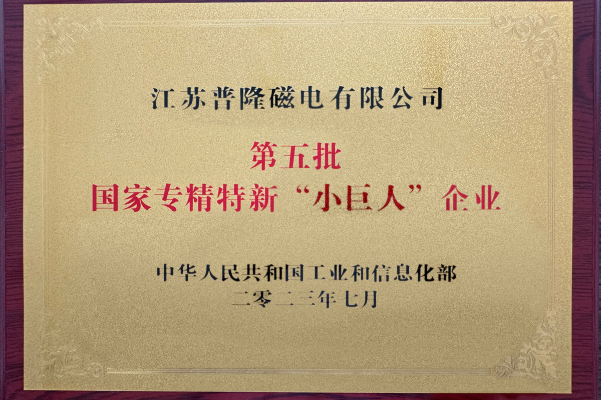國家專精特新“小巨人”企業(yè)